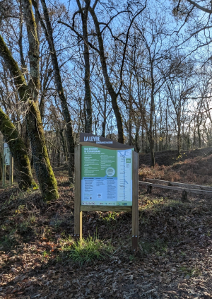 2024.12 - Pissos _ Testarouman 7.jpg