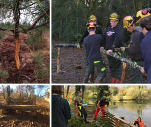 Montage photos repr&eacute;sentant des &eacute;l&egrave;ves en chantier-&eacute;cole et leurs ouvrages notamment un banc de bois, une barri&egrave;re et un arbre &eacute;corc&eacute;