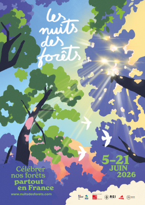 Affiche Les Nuits des forêts 2026 (illustration colorée vue en contre-plongée sous les arbres d'un ciel ensoleillé)
