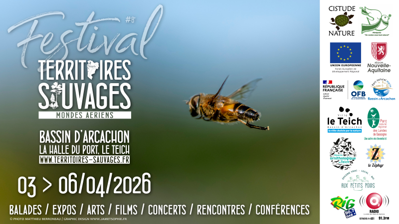 Visuel avec une photo d'un pollinisateur type abeille en vol, logos de tous les partenaires. Festival Territoires Sauvages, Halle du port du Teich, du 3 au 6 avril.