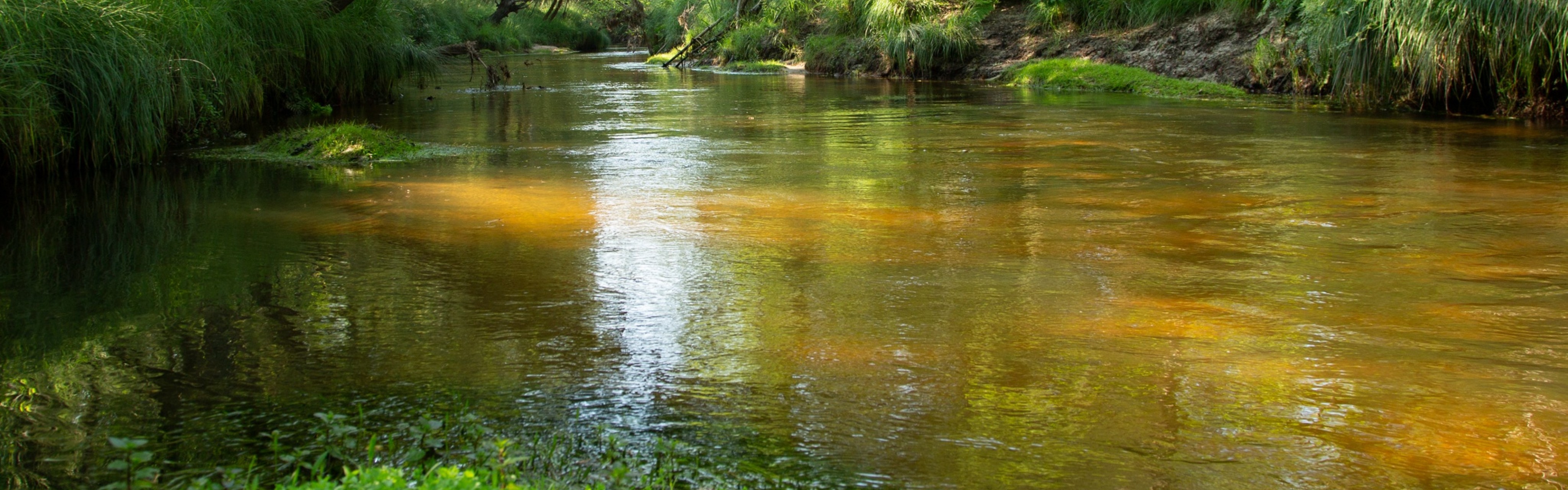 Rivière Leyre