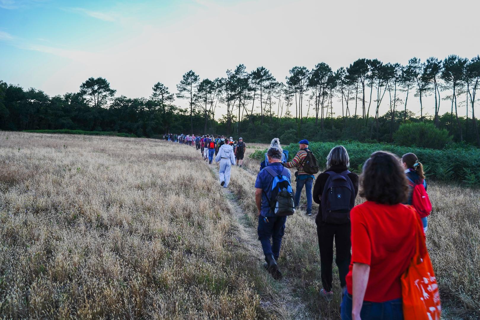 Groupe de personnes marchant en forêt