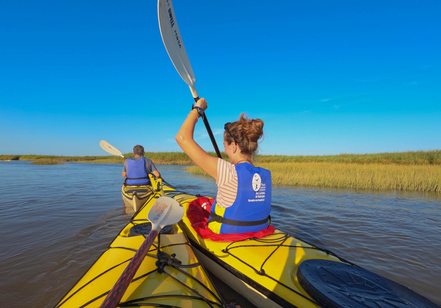 3 kayaks de mer naviguent sur le delta de la Leyre, paysage ouvert de roselières